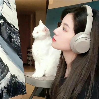 印第安传奇